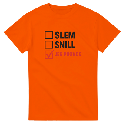 Jeg Prøvde -Morsom Tekstprint - Norsk design