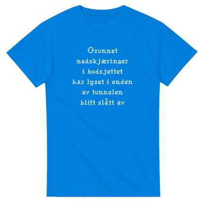 Nedskjæring i budsjettet -Morsom Tekstprint - Norsk design