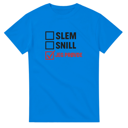 Jeg Prøvde -Morsom Tekstprint - Norsk design