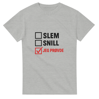 Jeg Prøvde -Morsom Tekstprint - Norsk design