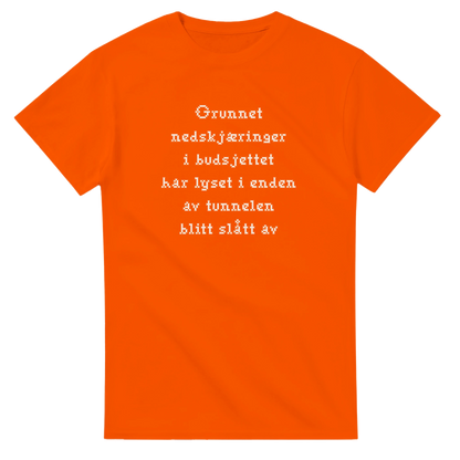 Nedskjæring i budsjettet -Morsom Tekstprint - Norsk design