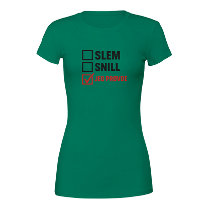 Jeg Prøvde -Morsom Tekstprint - Norsk design