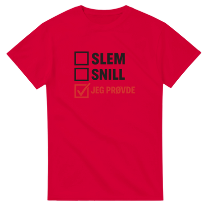 Jeg Prøvde -Morsom Tekstprint - Norsk design